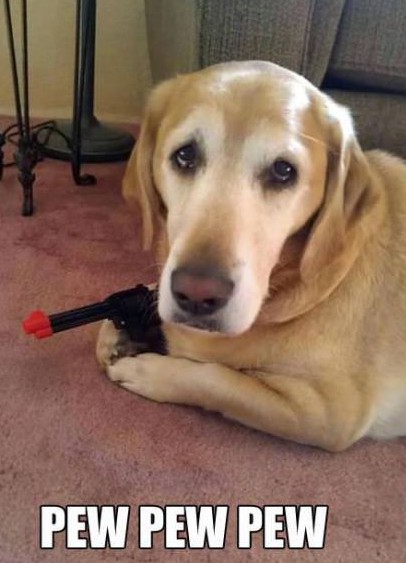 pew_pew