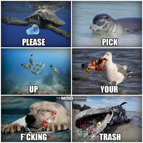 Just pick up ur f**in trash