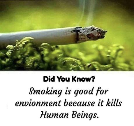 True Facts.