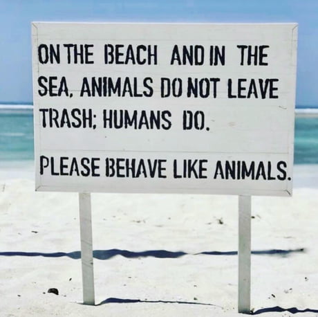 Please behave like animals