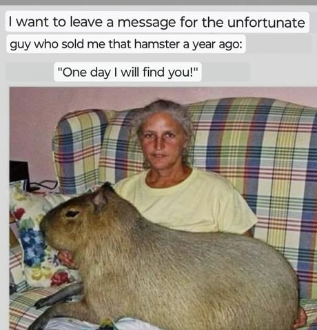 Hamster turning Capybaras